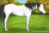 Horse Color:Bay Roan Splash Near Fewspot Rabicano 