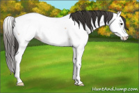 Horse Color:Bay Roan Splash Fewspot Rabicano 