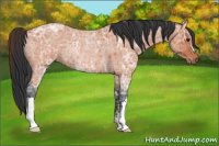 Horse Color:Bay Ice Roan Rabicano 