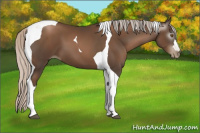 Horse Color:Gray Silver Black Pearl Tobiano 