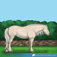 Horse Color:Cremello Dun 