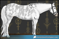 Horse Color:Silver Grullo Chinchilla Sabino Appaloosa