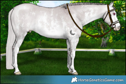 Horse Color:Chocolate Silver Buckskin Chinchilla Dun Sabino Rabicano 
