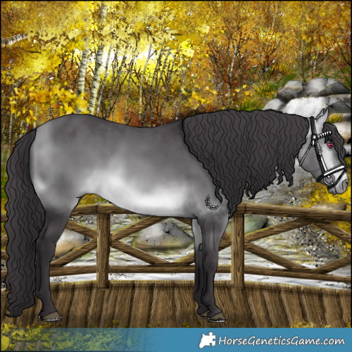 Horse Color:Buckskin Chinchilla 