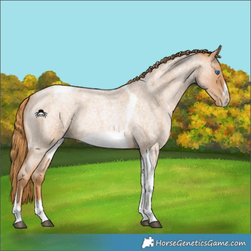 Horse Color:Red Roan Pearl Tobiano Frame 
