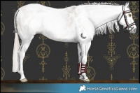 Horse Color:Gray Amber Champagne Roan Tobiano Frame Blanket 