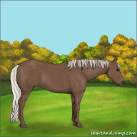 Horse Color:Silver Black 