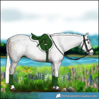 Horse Color:Gray Silver Black Pearl Tobiano