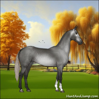 Horse Color:Gray Silver Black Tobiano 