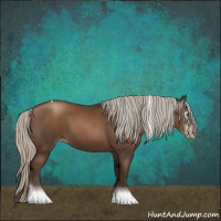 Horse Color:Gray Silver Black Pearl Tobiano 