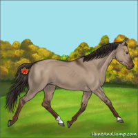 Horse Color:Liver Red Dun Rabicano 