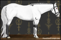 Horse Color:Silver Brown Chinchilla Snowcap