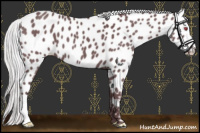 Horse Color:Chocolate Silver Black Chinchilla Near Leopard 