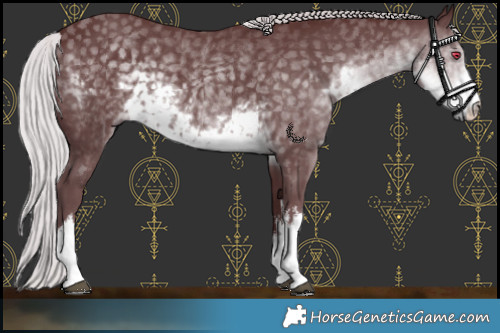 Horse Color:White Spotted Chocolate Silver Smoky Black Chinchilla