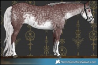 Horse Color:White Spotted Chocolate Silver Smoky Black Chinchilla 