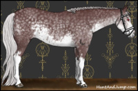 Horse Color:White Spotted Chocolate Silver Smoky Black Chinchilla