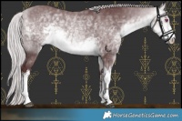 Horse Color:White Spotted Chocolate Silver Buckskin Chinchilla