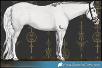 Horse Color:Chocolate Silver Classic Champagne Chinchilla 