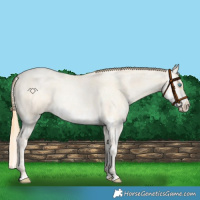 Horse Color:Buckskin Roan Pearl  and Buckskin Roan Pearl Splash 