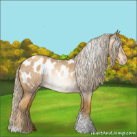Horse Color:Gray Gold Cream Champagne Roan Tobiano Frame Appaloosa 