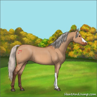 Horse Color:Silver Bay Roan Dun 