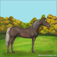 Horse Color:Silver Black 