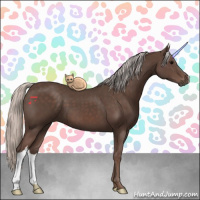 Horse Color:Silver Black 