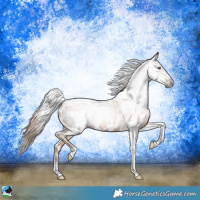 Horse Color:Gray Gold Champagne Roan Splash Tobiano Frame Near Leopard