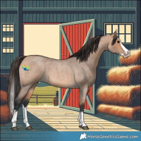 Horse Color:Bay Roan Dun Splash 