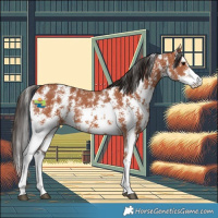 Horse Color:Bay Sabino 