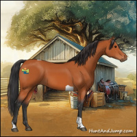 Horse Color:Bay Tobiano Rabicano 