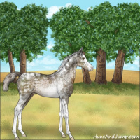 Horse Color:Chocolate Palomino Ice Splash Tobiano 