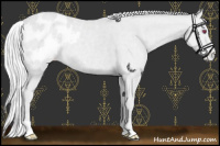 Horse Color:Silver Classic Cream Champagne Chinchilla Appaloosa Rabicano 