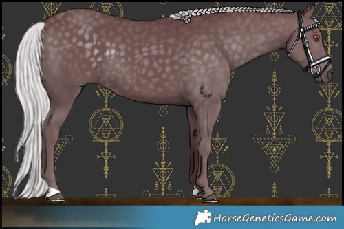 Horse Color:Chocolate Silver Black Chinchilla Rabicano