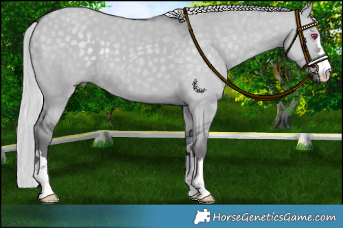 Horse Color:Silver Smoky Grullo Chinchilla 