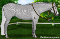 Horse Color:Silver Smoky Grullo Chinchilla