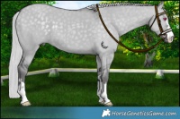 Horse Color:Silver Smoky Grullo Chinchilla