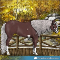 Horse Color:Chocolate Silver Black Chinchilla 