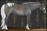 Horse Color:Silver Smoky Black Chinchilla Sabino Varnish 