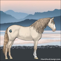 Horse Color:Perlino Dun 