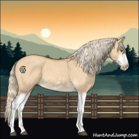 Horse Color:Palomino Roan Dun Splash Frame 