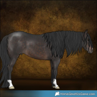 Horse Color:Brown 