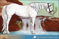 Horse Color:Gray Gold Champagne Roan Tobiano Near Leopard