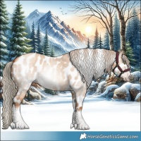 Horse Color:Gray Gold Champagne Roan Dun Tobiano Frame Appaloosa 