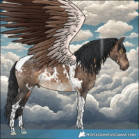 Horse Color:White Spotted Brown Dun Tobiano Brindle