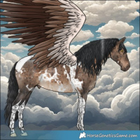 Horse Color:White Spotted Brown Dun Tobiano Brindle