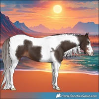 Horse Color:Liver Chestnut Tobiano 