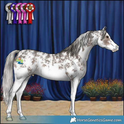 Horse Color:Liver Chestnut Mushroom Sabino 