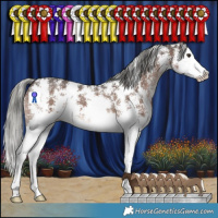 Horse Color:Liver Chestnut Mushroom Sabino Splash 