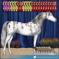 Horse Color:Liver Chestnut Mushroom Sabino Splash